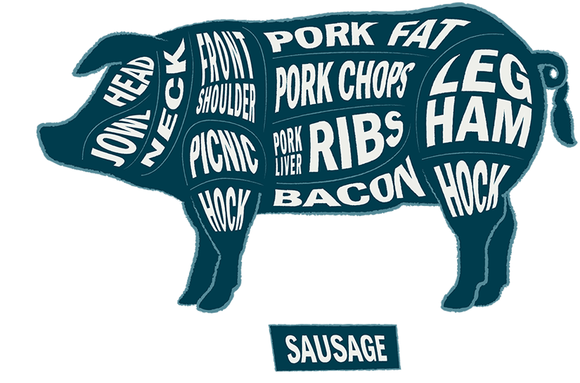 Pig infographic